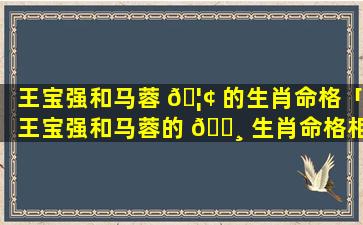 王宝强和马蓉 🦢 的生肖命格「王宝强和马蓉的 🕸 生肖命格相同吗」
